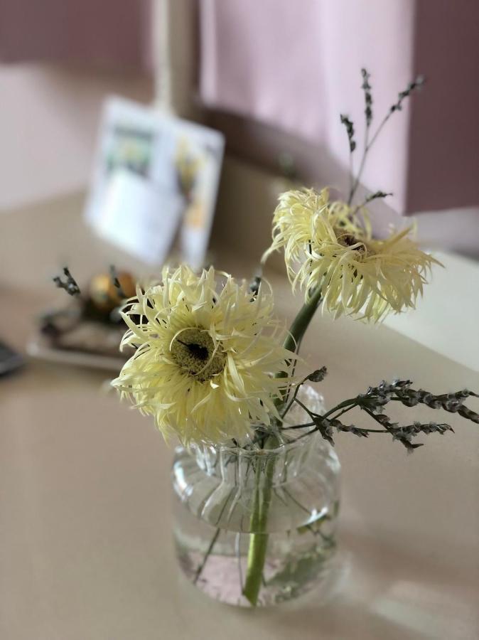 卡布-花藝小民宿 Taitung Floral B&B Eksteriør bilde